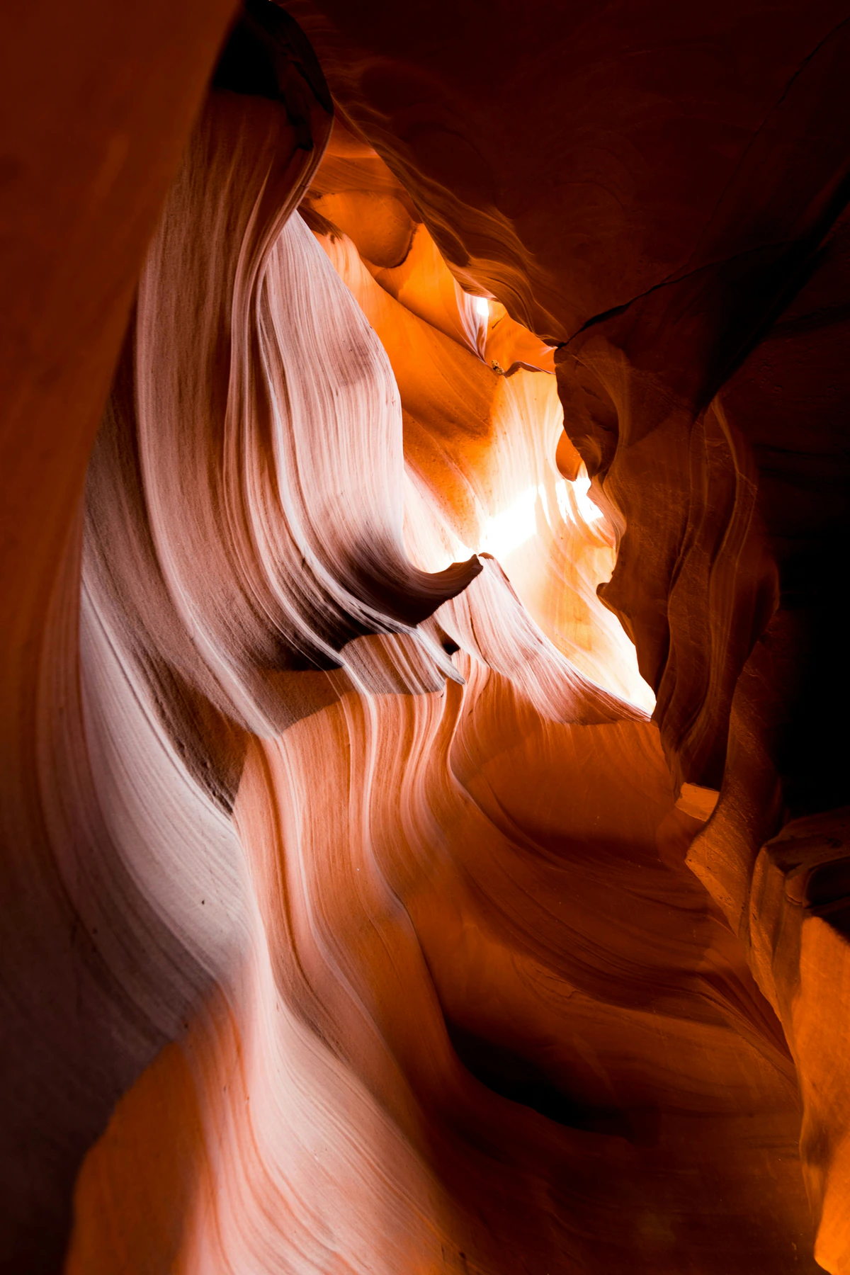 Sculpted sandstone passage glowing inside Antelope Canyon